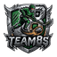 Team8s