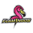 Flamingos