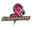 Flamingos